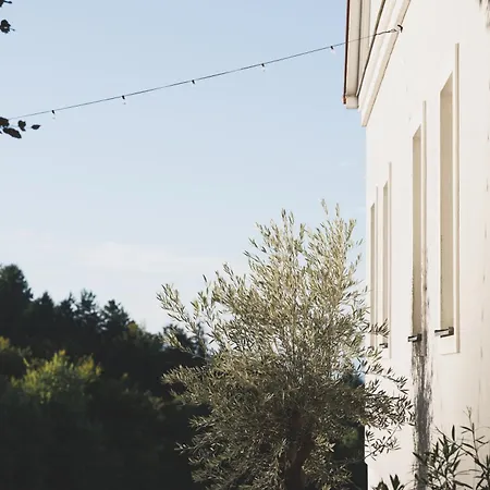 Casa Firmenich 住宿加早餐酒店 3*