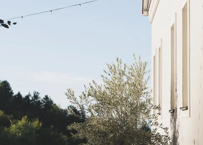 Casa Firmenich 住宿加早餐酒店 3*